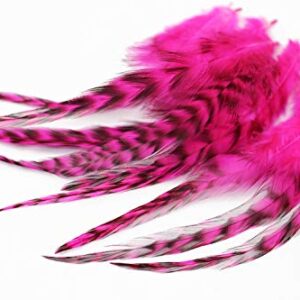 Bunte Hackle Federn in UV Hot Pink und schwarz-gemustert für Fliegenbinden, ideal für kreative Fliegenbinder und Angler.