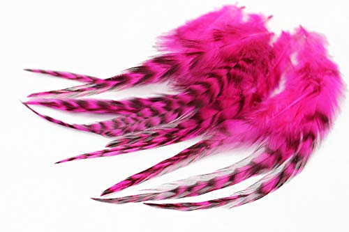 Bunte Hackle Federn in UV Hot Pink und schwarz-gemustert für Fliegenbinden, ideal für kreative Fliegenbinder und Angler.