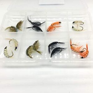 Set von handgefertigten Angel-Fliegen in verschiedenen Farben und Mustern, ideal für das Angeln auf Forellen und andere Fischarten, präsentiert in einem transparenten Kunststoffbehälter mit mehreren Fächern.