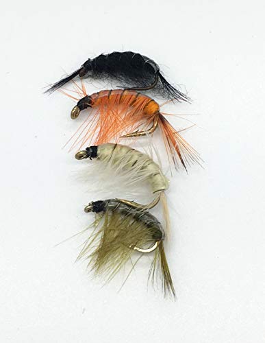 Eine Auswahl von vier verschiedenen handgebundenen Fliegen für das Angeln, inklusive lebendiger Farben und variierter Strukturen, ideal für Forellen und andere Fischarten.