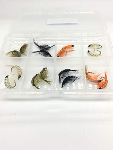 Set von handgefertigten Angel-Fliegen in verschiedenen Farben und Mustern, ideal für das Angeln auf Forellen und andere Fischarten, präsentiert in einem transparenten Kunststoffbehälter mit mehreren Fächern.