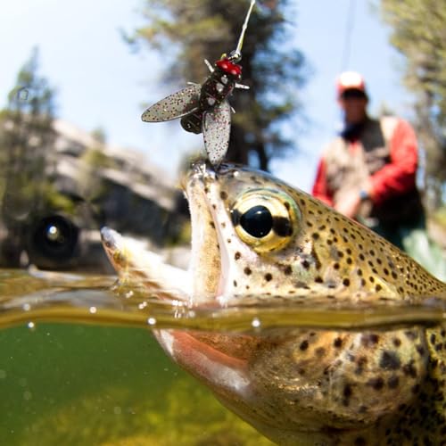 Bionisches Fliegen Angelköder Set mit realistischen Ködern in Aktion, während ein Fisch nach der Fliege schnappt, umgeben von natürlicher Unterwasserlandschaft.