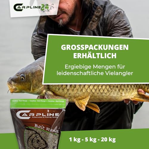 Mann posiert mit einem großen Karpfen am Ufer eines Gewässers, hält den Fisch mit beiden Händen, während eine Verpackung für Hanfsamen im unteren Bildbereich sichtbar ist.