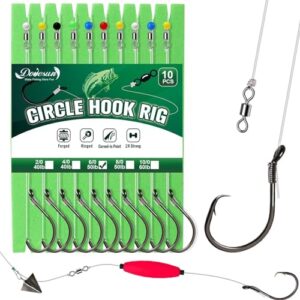 Set von 10 vorgeriggten Circle Hooks Rigs für das Angeln, organisiert in einem grünen Karton mit verschiedenen Hakengrößen, geeignet für Salzwasser und Süßwasser.
