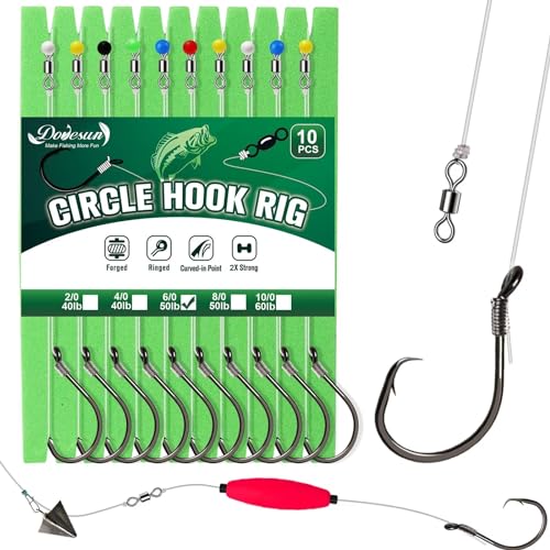 Set von 10 vorgeriggten Circle Hooks Rigs für das Angeln, organisiert in einem grünen Karton mit verschiedenen Hakengrößen, geeignet für Salzwasser und Süßwasser.