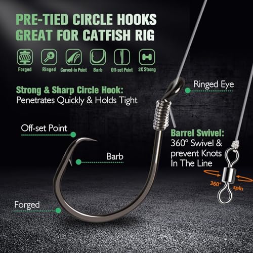 Dovesun 10 Stück Circle Hooks Rigs - Vorgeriggte Angelhaken für Wels- und Salzwasserangeln mit präzisionsgeschliffener Hakenspitze und robuster Schmiedekonstruktion.