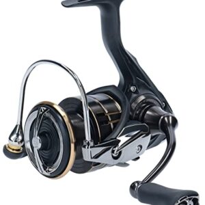 DAIWA 20 Ballistic EX LT 2500D Angelrolle mit modernem Design und hochwertigen Materialien für das Sportfischen