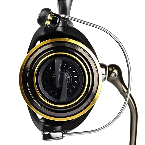 Nahaufnahme der Daiwa BG2000 Salzwasser-Spinnrolle mit mattschwarzem Finish, goldener Spule und ergonomischem Griff, ideal für Angler im Salzwasser.