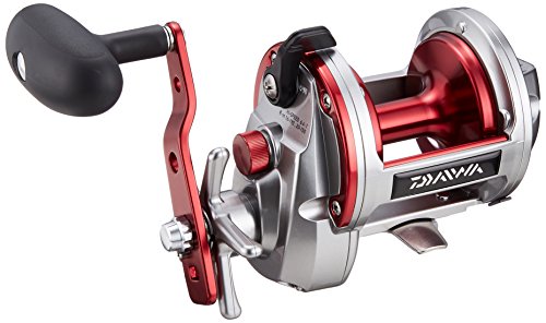 Daiwa Sealine Ishidai 40H Entoh Multirolle mit Zählwerk, ideal für Angler. Hochwertige Verarbeitung mit rotem und silbernem Metall, großer Spule und ergonomischem Griff.