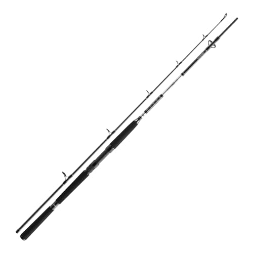 Daiwa Steckrute BG Deep Sea XH, 2,20 Meter lang, Wurfgewicht 150-300g, ideal für Tiefseeangeln, besteht aus hochwertigem Material mit ergonomischem Design für maximalen Komfort.
