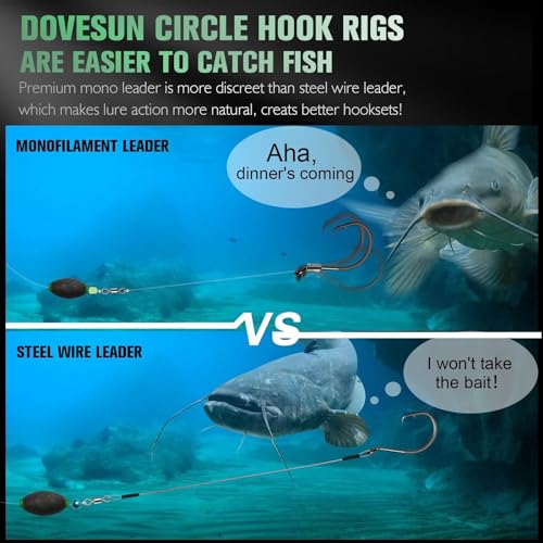 Vergleich zwischen Monofilament- und Stahlvorfach-Angelködern unter Wasser mit einem Wels, der am Monofilament interessiert ist und dem Hinweis, dass er durch das Stahlvorfach abgeschreckt wird. Informative Darstellung der Vorteile von Dovesun Circle Hooks Rigs.