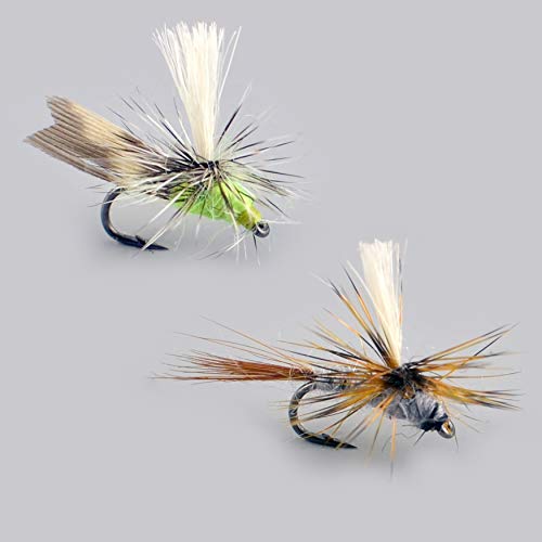 Fliegenfischen-Fliegen-Set mit verschiedenen realistischen Fliegen für Angler, inklusive Nymphen, Trockenfliegen und Nassfliegen in einer hochwertigen Fliegenbox.