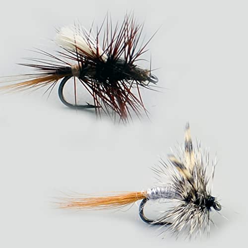 Detailaufnahme von zwei Fliegen für das Fliegenfischen, eine dunkle und eine helle Fliege, die sorgfältig gestaltet sind, um verschiedene Fischarten anzulocken.