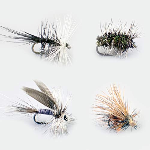 Hochwertiges Fliegenfischen-Fliegen-Set mit 52 Trockenfliegen, Nymphen und Nassfliegen, ideal für Forellen- und Barsche-Angeln.