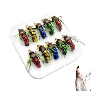 10-teiliges Fliegenfischer-Set mit bunten Fliegen-Popper-Ködern in einer weißen Box, ideal für Süß- und Salzwasserangeln. Perfekt für Angler jeden Erfahrungsgrads.