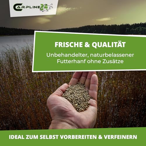 Carpline24 Hanfsamen Angelhanf 5kg in einer Hand gehalten, umgeben von einer ruhigen Landschaft mit See und Bäumen, ideal als natürliches Futter und Köder für Karpfenangler.