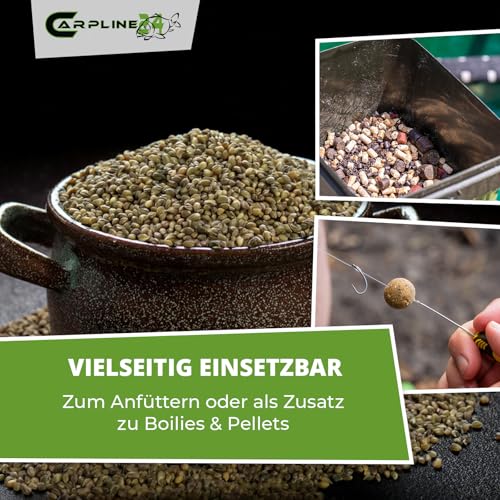 Carpline24 Hanfsamen Angelhanf 5kg in einer Schüssel, hochwertige Partikel für Karpfenangeln, natürlicher Futter- und Lockstoff für effektives Anfüttern.