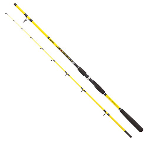 JENZI Continuum Angelrute 1,40 m mit Wurfgewicht 20-100 g in auffälligem schwarz-gelben Design, ideal für Angler jeder Erfahrungsstufe.