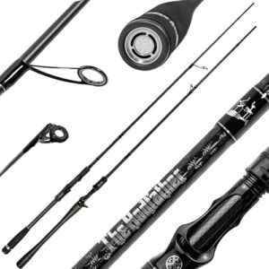 LMAB The Rodfather Spinning und Casting Angelrute für Zander, Barsch und Hecht, displayed with a focus on its sleek black carbon design and ergonomic features, ideal for predatory fishing.
