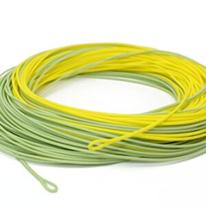Schwimmende Fliegenschnur in Moosgrün und Gelb, 30,5 m, ideal für Angler, mit 2 verschweißten Schlaufen für einfaches Fliegenwechseln.