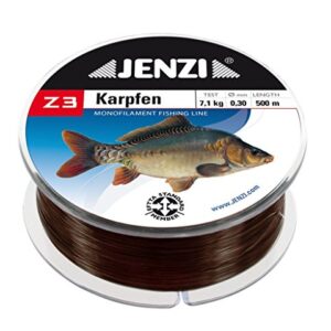 Jenzi Z3 Line Karpfen mit Fischbild, 0,30mm, 500 Meter lang, hochwertige Angel-Linie für den Fang von Karpfen