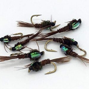 Fliegenfischer Ausrüstung PHEASANT TAIL NYMPHS Flashback Set Größe 10-14 für Fliegenfischen im Wasser
