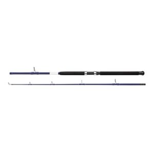 Hochwertige SHAKESPEARE Salt Bootruten mit Composite-Blanks, Zirkonium Ringen und EVA-Griffen für Angler und Wassersportbegeisterte