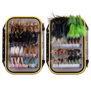 Bassdash Fliegenfischen Set mit 96 verschiedenen Fliegenmuster, um Fische zu locken und zu fangen, wasserdicht und portabel