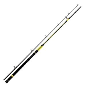 Black Cat Premium Welsrute Perfect Passion Boat Spin Angelrute Spinnrute für Wels Angeln mit Wurfgewicht 50-190g, Schwarz-Gelb, 2,40 m