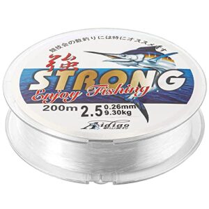 Lanjue 200 m Angeldraht, 0.26 mm transparente Angelschnur, 2.5 Spule, unsichtbarer Angeldraht zum Aufhängen und Basteln für die Angeltechnik