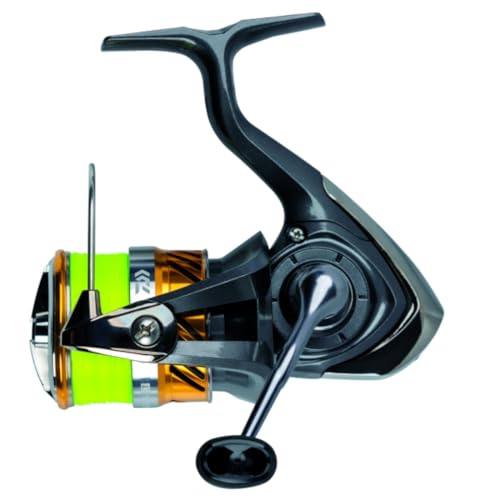 Spinnrolle Daiwa Laguna LT 3000-C mit Geflechtschnur und Spule, hochwertige Angelrolle für Spinnfischen