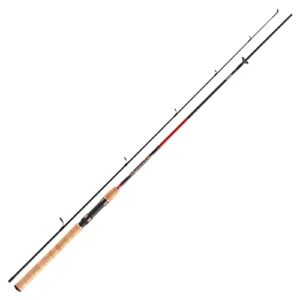 Daiwa Sweepfire Spin 3,00m 10-40g Spinnrute, 2-teilig, hochwertige Spinnrute für jeden Angler