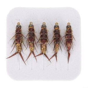 Fliegenfischköder-Set mit Box, Nymphe, Beadhead, Nassfischen und Trockenfliege für die Fischarten Barsch, Forelle, Stahlkopf und Äsche.