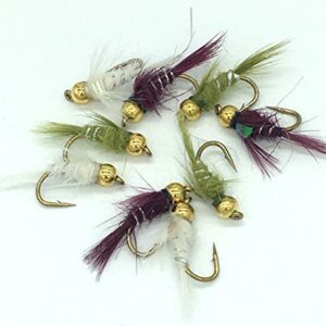 Beadhead Flashback Farbige Auswahl Fliegenfischen NYMPHS Zehn Pack - hochwertige Fischköder für Fischaufklärung und Fang Erfolg