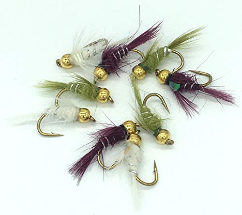 Beadhead Flashback Farbige Auswahl Fliegenfischen NYMPHS Zehn Pack - hochwertige Fischköder für Fischaufklärung und Fang Erfolg