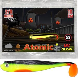 Gummifische für Zanderfischen, 5 Stück, 10 cm lang, mit Fischgeruch und leuchtenden Farben, perfekt für trübes Wasser und wenig Licht