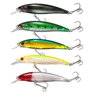 Kunstköder Wobbler Set für Fischangeln, 5 Stück, lebensecht, für Zander, Barsch, Forelle, Süß- und Salzwasser