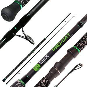 Ergonomische Angelrute für den Bootsfischer - Zeck Pro Cat Boat Wallerrute 2,40m 300g mit Kohlefaser-Blank-Material und Fuji DPS H/22-Rollenhalter