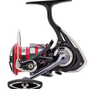 Daiwa LT 3000-C Ninja Rolle, Spinnrolle zum Zanderangeln, Zanderrolle zum Jiggen, Raubfischrolle zum Spinnangeln, Stationärrolle für Raubfische