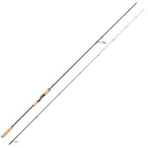 Meerforellenrute von Eisele mit 3,05m Länge und 16-40g Wurfgewicht