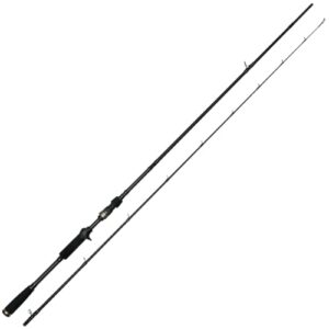 Angelrute zum Spinnangeln auf Hechte, Westin Baitcast Powerstrike-T 2nd, 240 cm lang, 40-100 g schwer