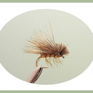 6 Stück Elchhaar Caddis Forellenangeln, verschiedene Größen erhältlich (12/14) - Hochwertige Fliegen für Forellenvorfang aus hochwertigem Material