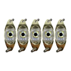 Unterwasser Angellicht, 5 LED Köder Lampe für Boot, Meer und Eisfischen