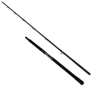 Bootsgrute aus Carbon mit titanbeschichteten Ringen und Eva-Griffen, perfekt für anspruchsvolle Angler