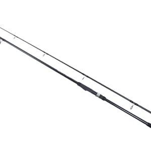 Catchmax Catfish Welsrute, 3,00 m lang, -200 g schwer, ideal für die Jagd auf große Karpfen und andere Großwelsen