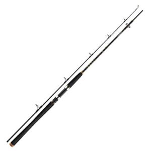 Die Daiwa BG Pilk 2,70m 40-125g ist eine hochwertige und robuste Rute für die Angelneigung in Norwegen, Ostsee und den tropischen Gewässern.