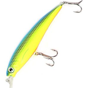 Fischereiangel, Zander-Wobbler, Flachläufer, Hardbait, Raubfische, Süßwasser, Salzwasser