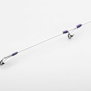 Penn Tidal XR Surfcasting Rute, 30T/40T Carbon Blank mit X-Wrap, Extreme Wurfkraft für Salzwasser-Strandangeln auf Barsche, Plattfische und Rochen