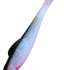 Softbait für Raubfischangler - Gummifisch Ohio 4 Zoll, 10 cm lang, 5 Stück, Kunstköder