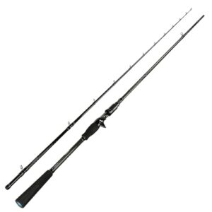 Hochwertige Angel-Rute Sportex Black Arrow G4 Spin BA2535 2,55m 25-119g Baitcastrute für ambitionierte Angler